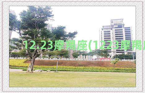 12.23摩羯座(1223摩羯座 土星)